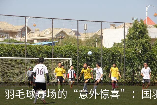 羽毛球赛场的“意外惊喜”：国羽艰难出局，热血拼搏依然在继续